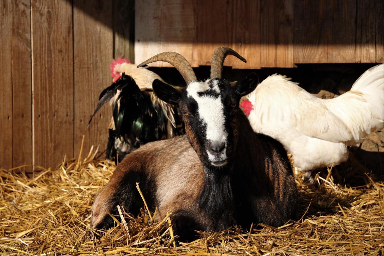Hébergement de vacances à La Ferme De La Symphonie Du Vivant *