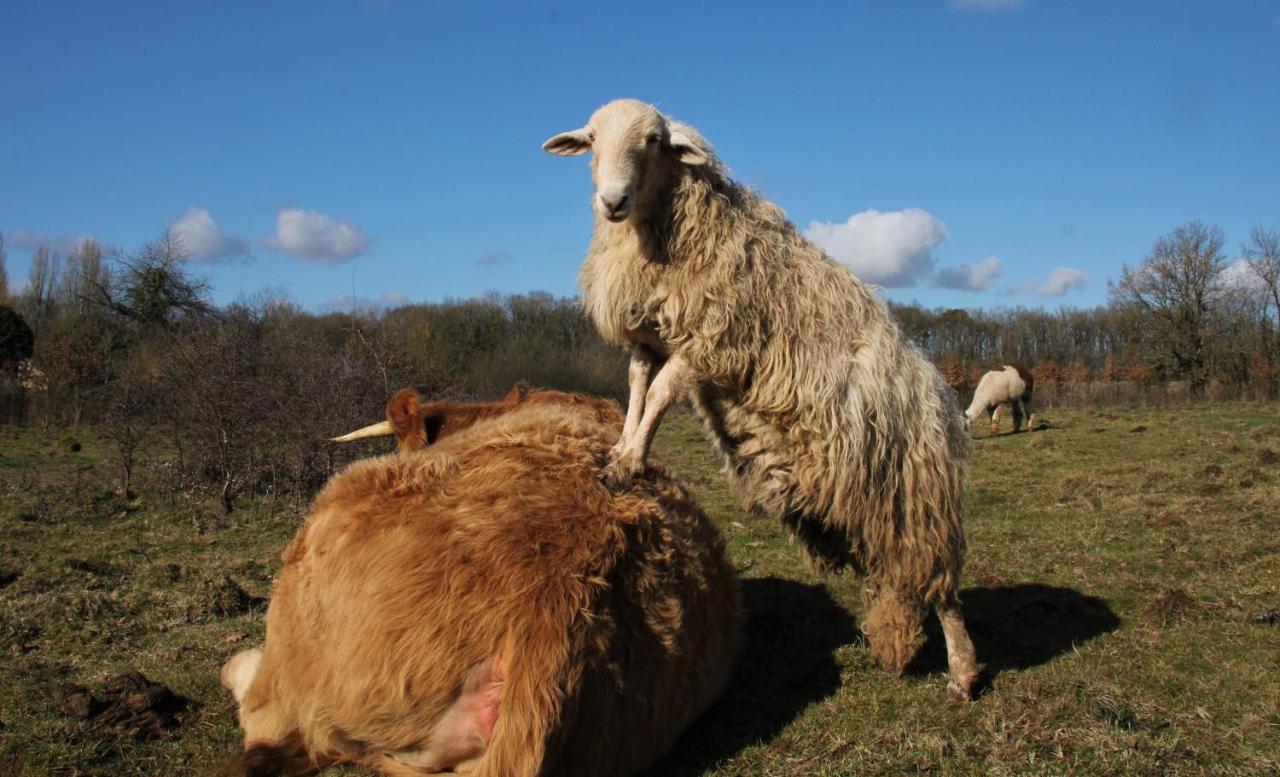 Hébergement de vacances à La Ferme De La Symphonie Du Vivant Bonnes (Vienne)