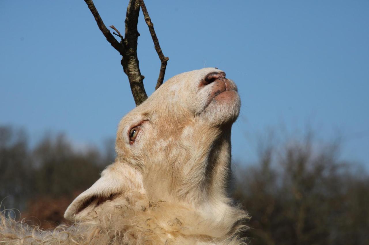 Hébergement de vacances à La Ferme De La Symphonie Du Vivant Bonnes (Vienne)